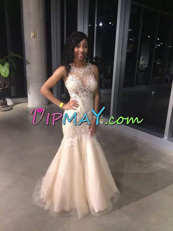 Pretty Champagne Zipper Scoop Lace and Appliques Tulle Sleeveless