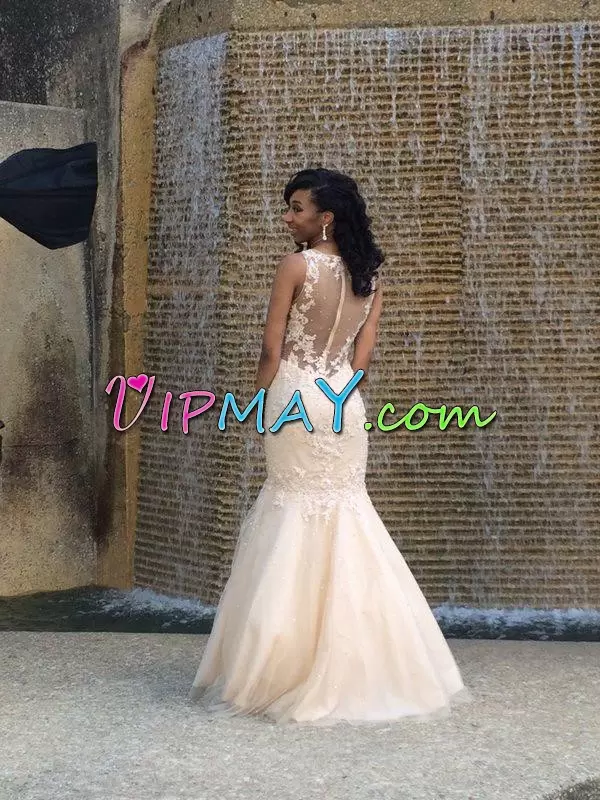Pretty Champagne Zipper Scoop Lace and Appliques Tulle Sleeveless