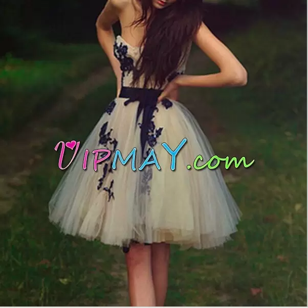 Sweetheart Sleeveless Tulle Prom Party Dress Appliques Lace Up