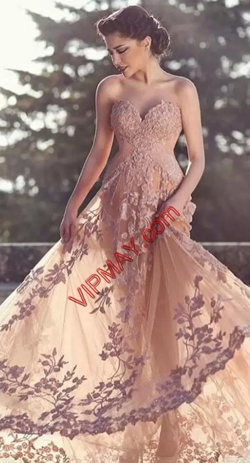 Shining Lace Prom Evening Gown Champagne Lace Up Sleeveless Floor Length