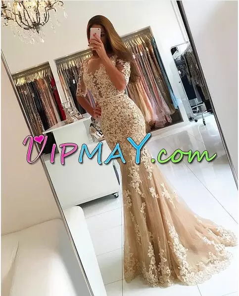 Artistic Scoop Half Sleeves Hoco Dress Floor Length Lace Champagne Tulle