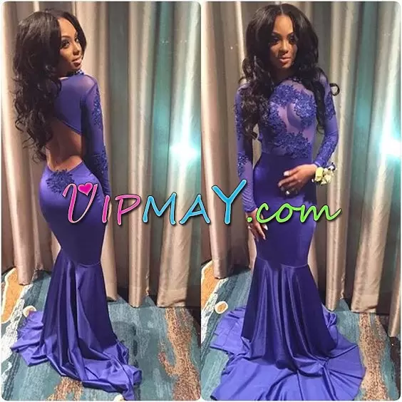 Sumptuous Long Sleeves Scoop Lace Backless Prom Dress