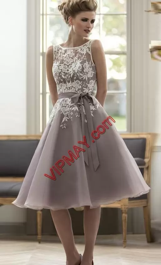 Colorful Organza Scoop Sleeveless Backless Lace and Appliques Homecoming Party Dress in Grey