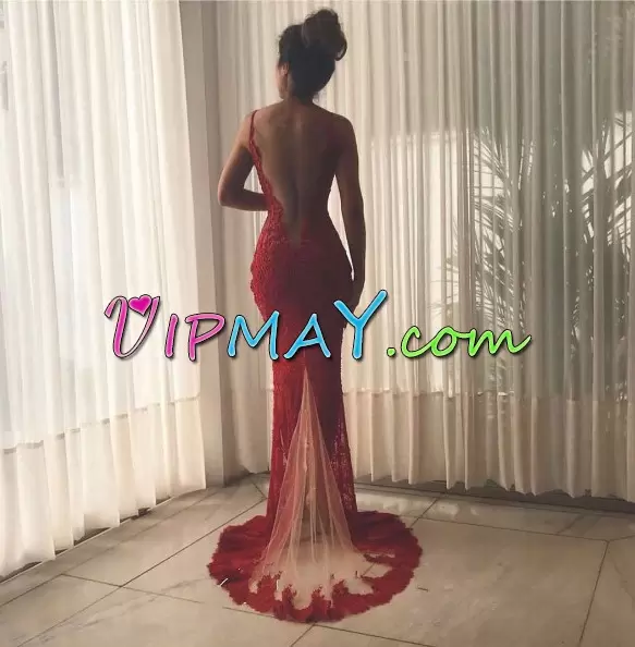 V-neck Sleeveless Lace Prom Gown Appliques Brush Train Backless