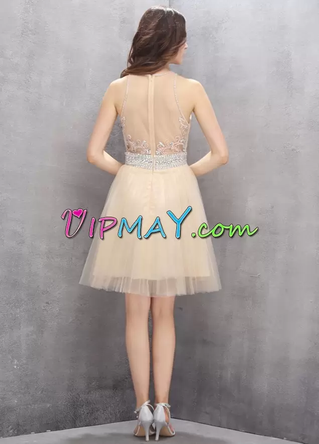 Deluxe Sleeveless Mini Length Beading Zipper Dress for Prom with Champagne