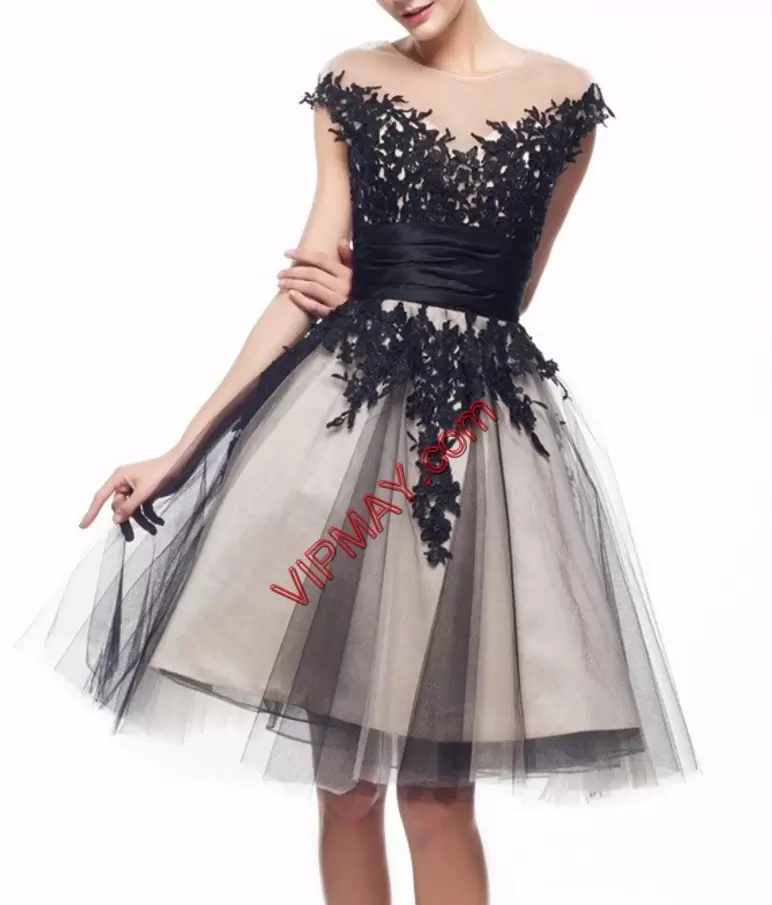 Cap Sleeves Scoop Lace Zipper Prom Dress