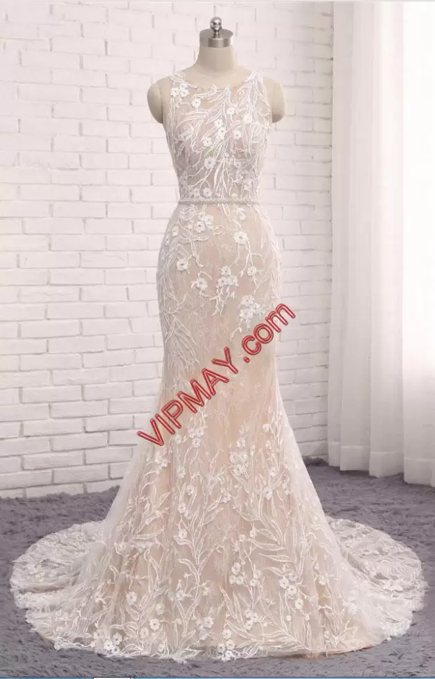 Captivating Appliques Prom Party Dress Champagne Zipper Sleeveless Sweep Train