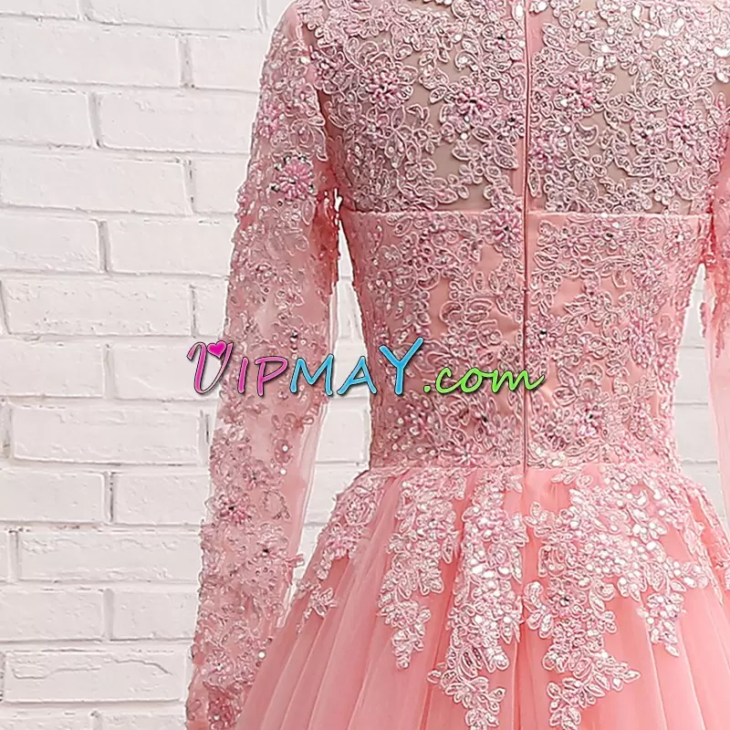 Delicate Appliques Homecoming Gowns Pink Long Sleeves Floor Length