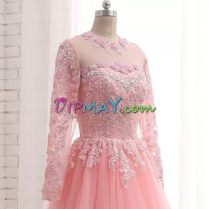 Delicate Appliques Homecoming Gowns Pink Long Sleeves Floor Length