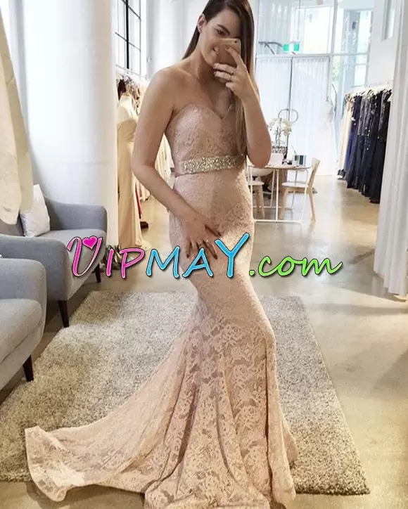 Flirting Champagne Lace Lace Up Prom Evening Gown Sleeveless Sweep Train Appliques