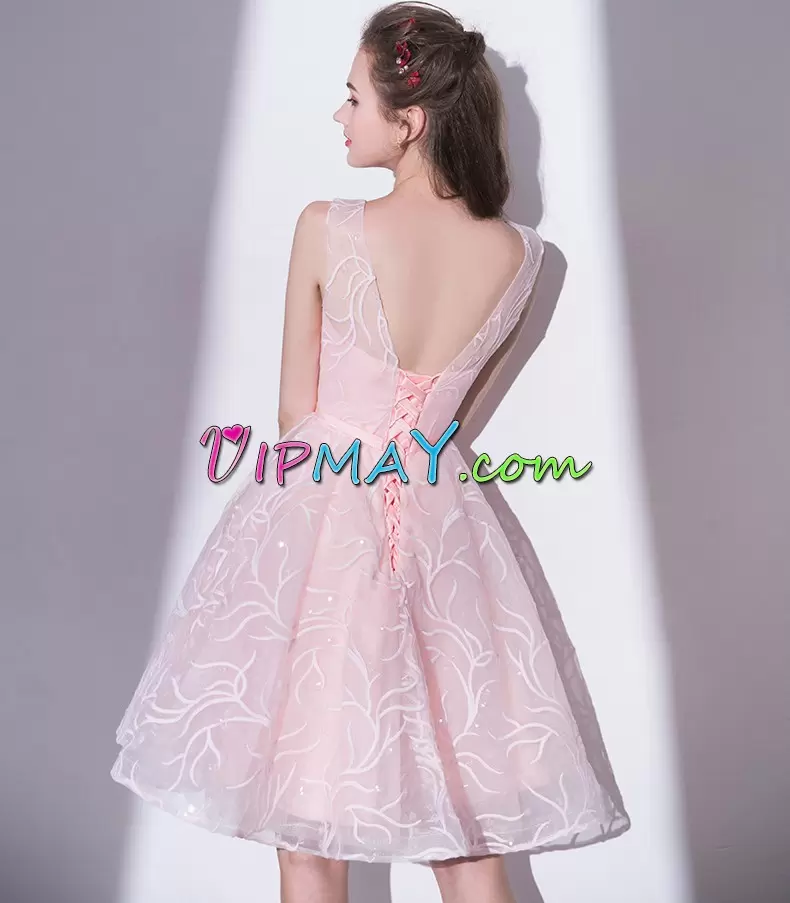 Pink Lace Up V-neck Lace Prom Evening Gown Lace Sleeveless