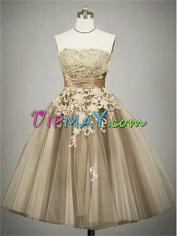 Luxury Champagne Sleeveless Lace Mini Length Homecoming Dresses