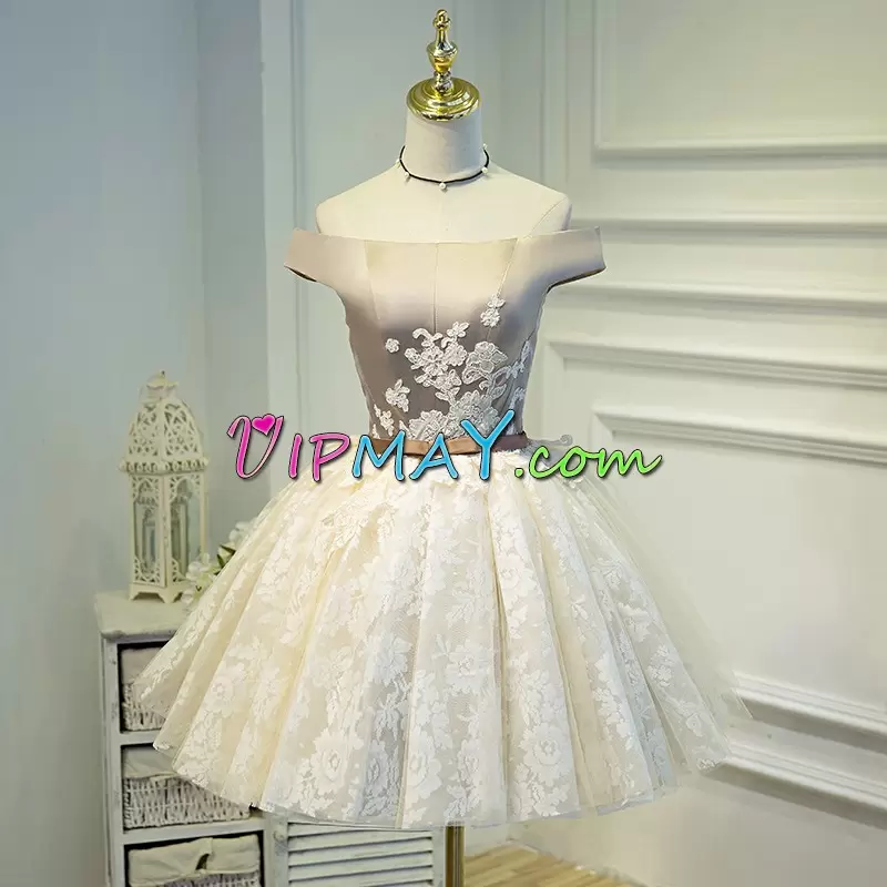 Noble Mini Length A-line Sleeveless Champagne Junior Homecoming Dress Lace Up