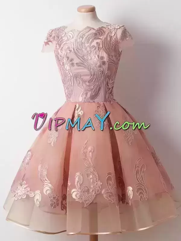 Amazing Pink Scalloped Zipper Appliques Homecoming Dresses Cap Sleeves