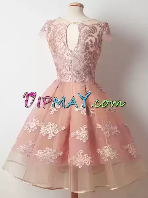 Amazing Pink Scalloped Zipper Appliques Homecoming Dresses Cap Sleeves