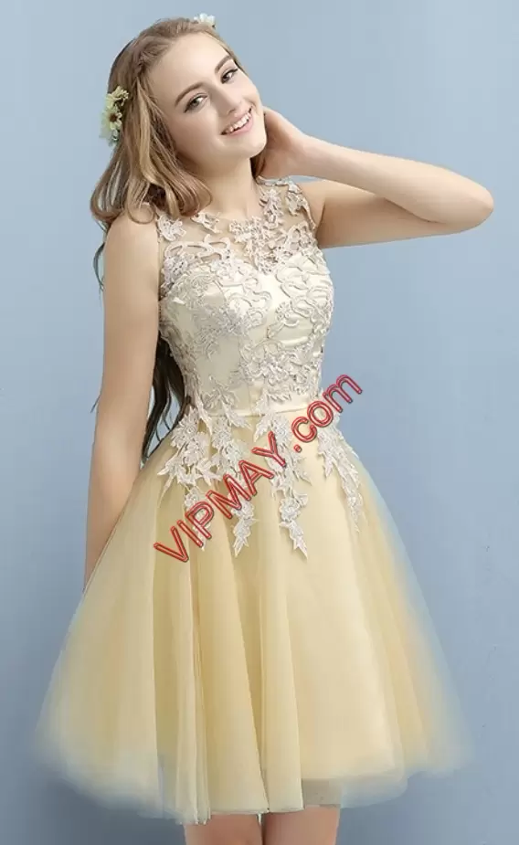 Sumptuous Champagne Sleeveless Tulle Lace Up for Prom and Party