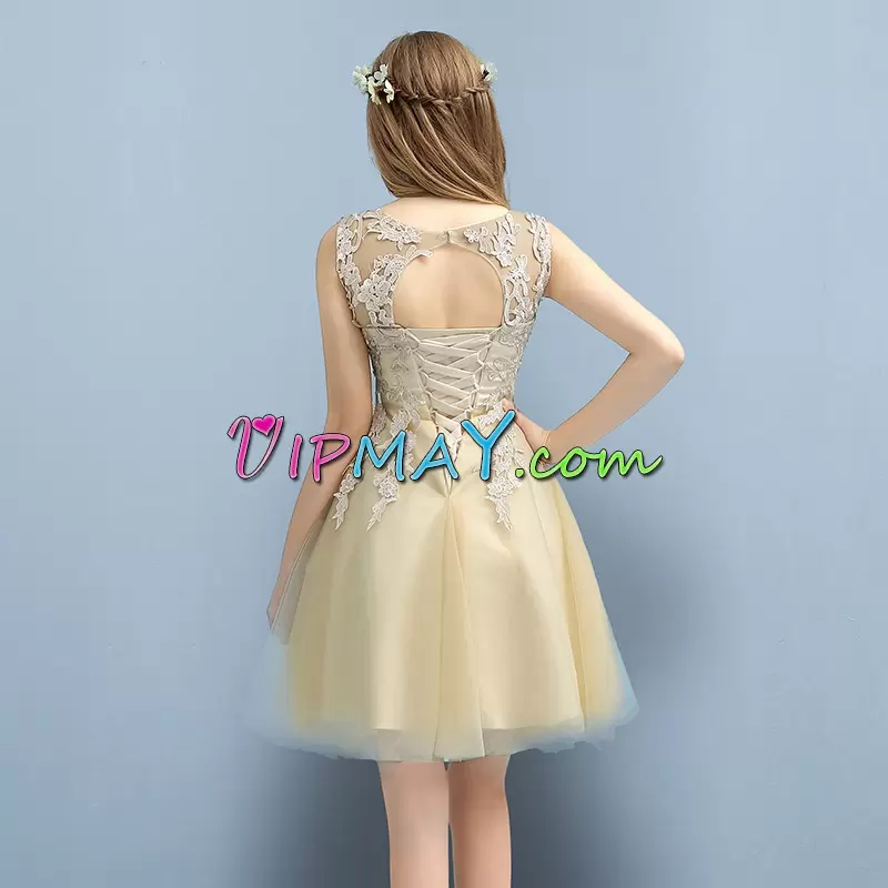 Sumptuous Champagne Sleeveless Tulle Lace Up for Prom and Party