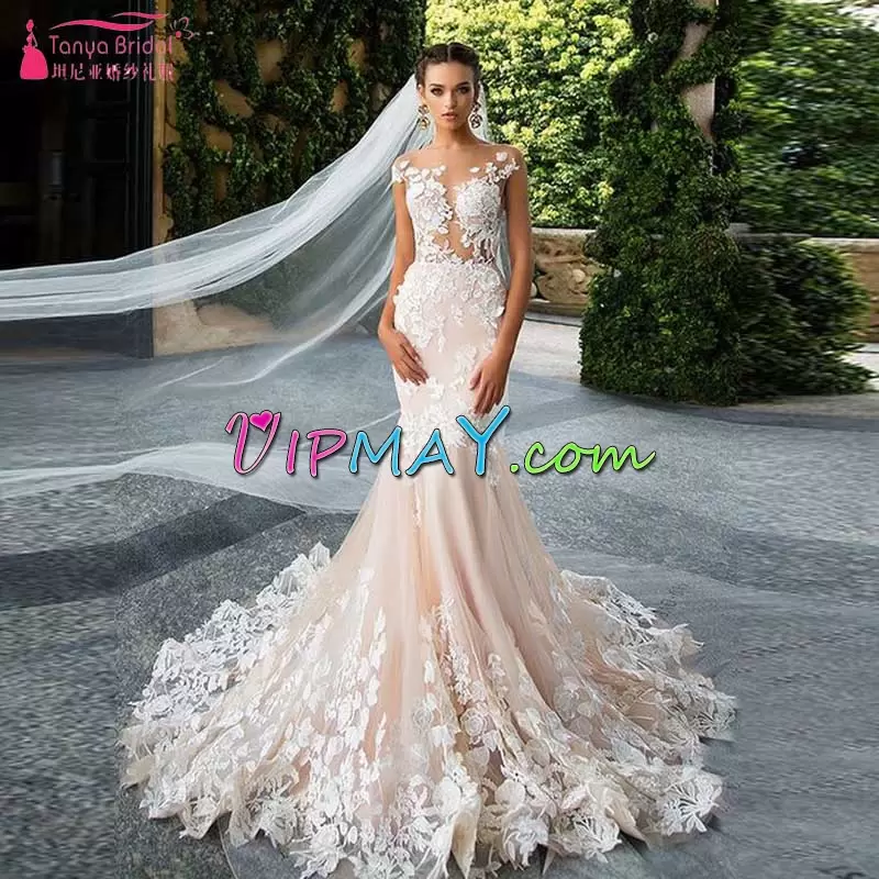 Champagne Tulle Backless Scoop Sleeveless Homecoming Dresses Brush Train Lace and Appliques