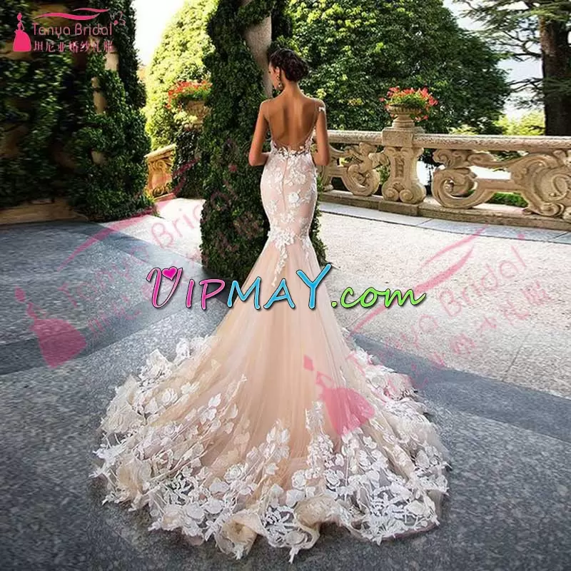 Champagne Tulle Backless Scoop Sleeveless Homecoming Dresses Brush Train Lace and Appliques