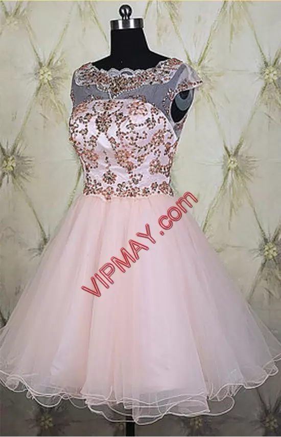 Captivating Mini Length Pink Dress for Prom Scoop Sleeveless Backless