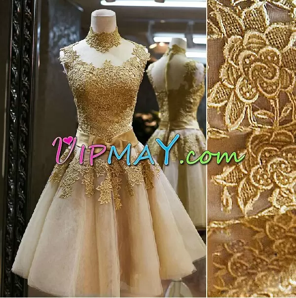 Shining Champagne Homecoming Dress Prom and Party with Appliques and Bowknot High-neck Sleeveless Zipper