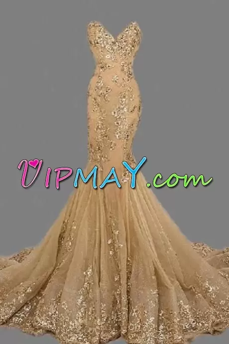 Sweet Beading and Appliques Prom Evening Gown Champagne Sleeveless Floor Length