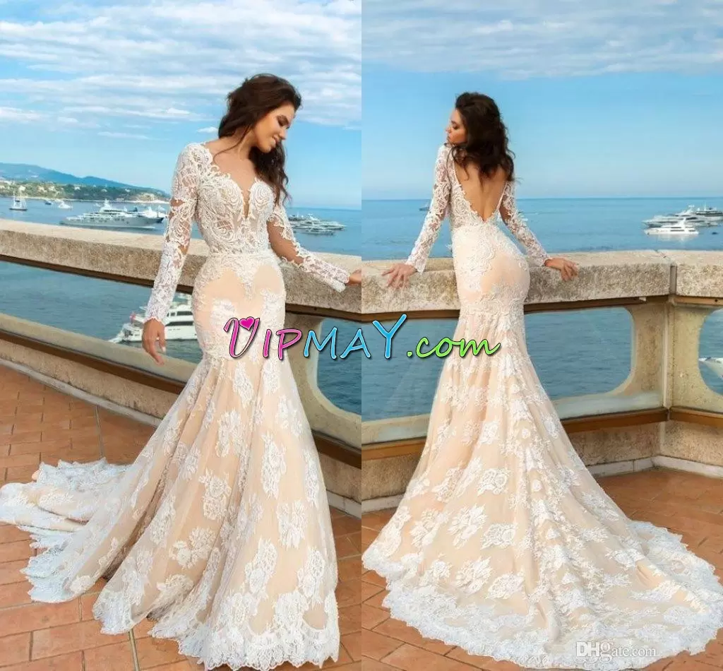 High Quality Sweetheart Long Sleeves Tulle Prom Homecoming Dress Lace and Appliques Brush Train Backless