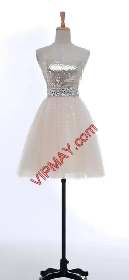 Royal Blue Sleeveless Tulle Lace Up Homecoming Dress Online for Prom and Party and Military Ball