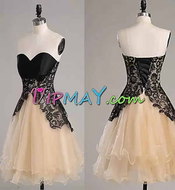 Dramatic V-neck Sleeveless Lace Up Prom Dresses Champagne Organza Lace