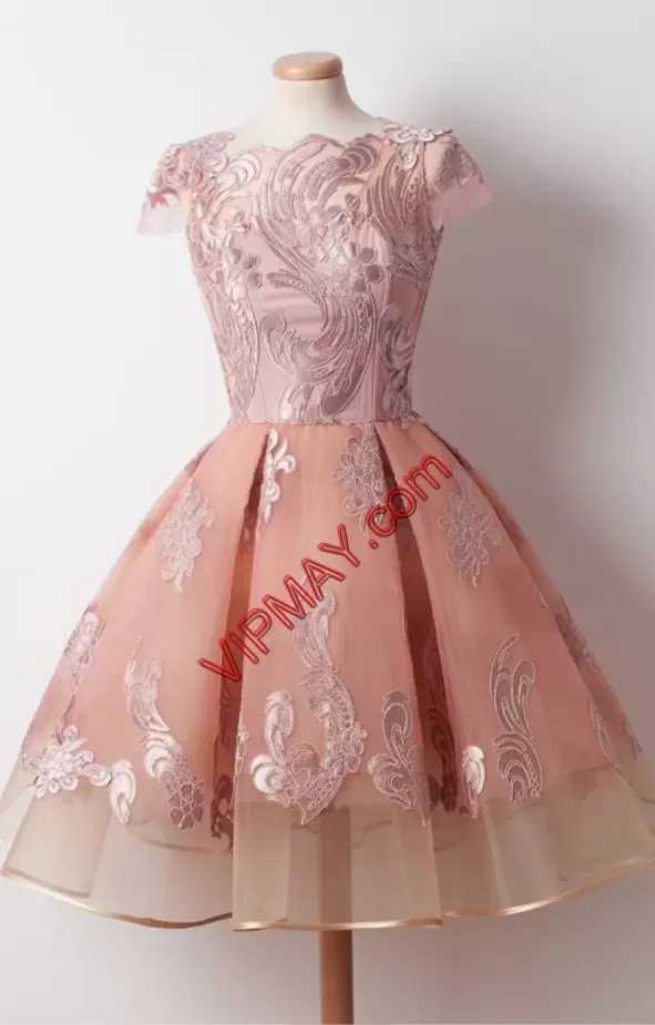 Extravagant Peach Ball Gowns Appliques Prom Dresses Zipper Organza Sleeveless Knee Length