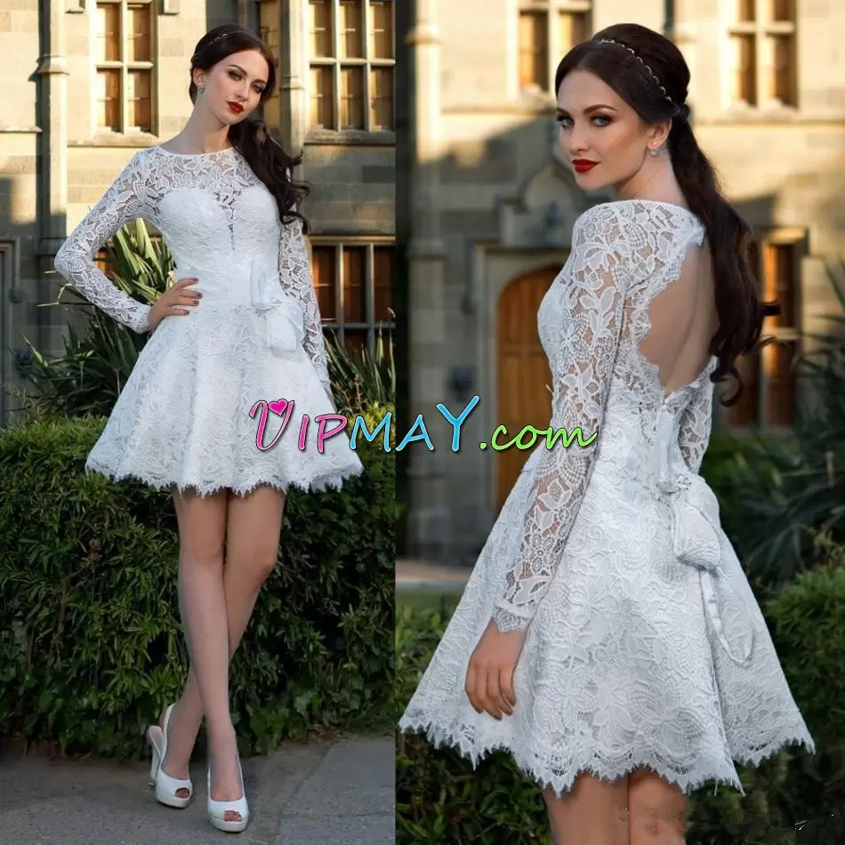 Wonderful Scoop Long Sleeves Lace Evening Dress Lace Backless