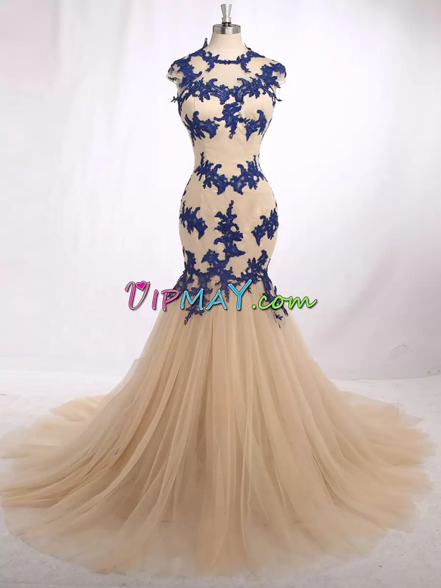 Organza and Tulle Sleeveless With Train Dress for Prom Brush Train and Beading and Lace