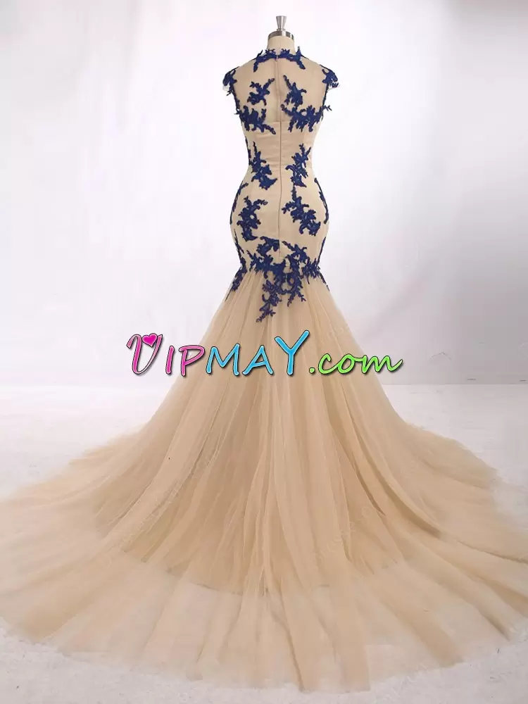 Organza and Tulle Sleeveless With Train Dress for Prom Brush Train and Beading and Lace