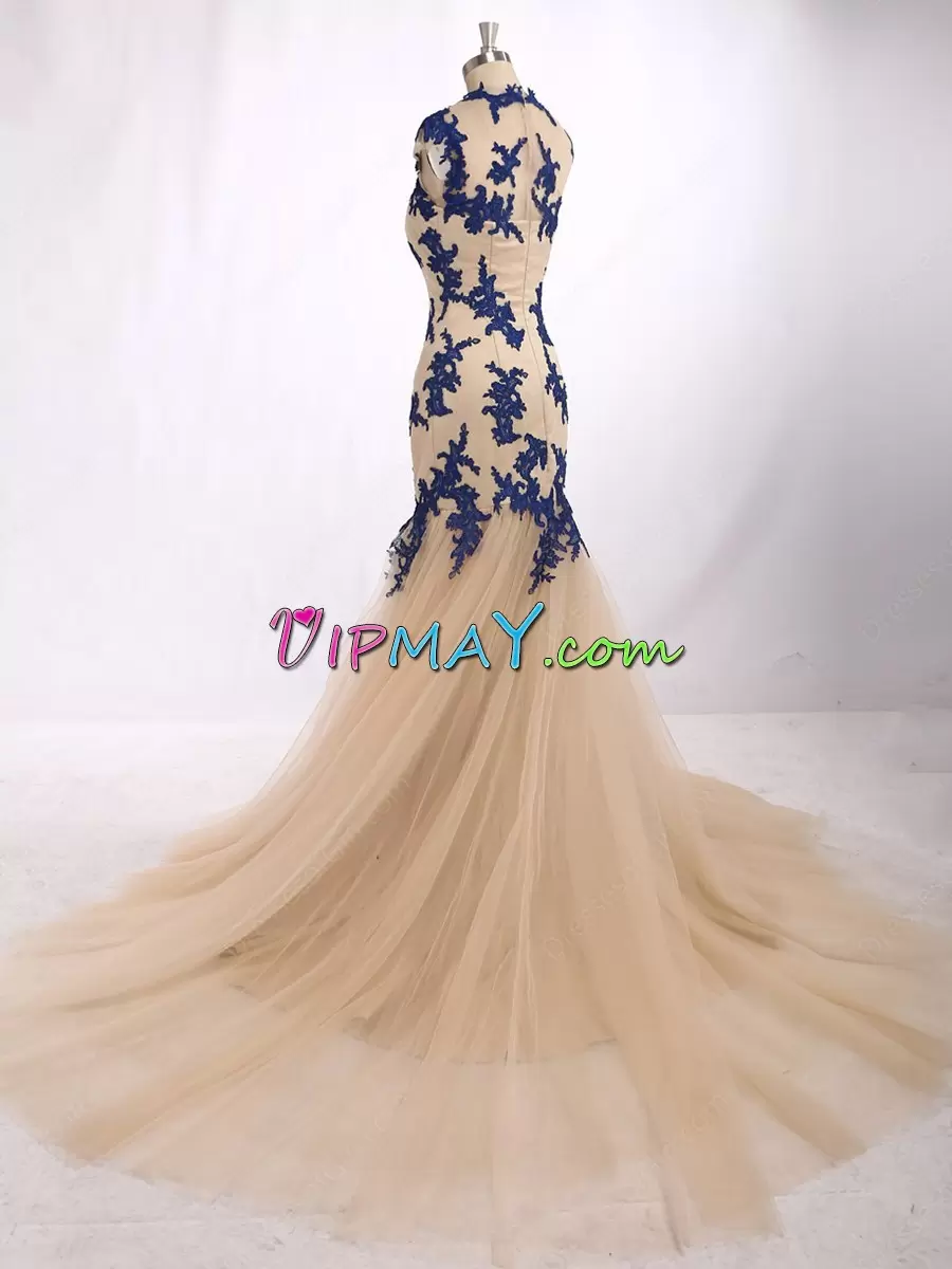 Organza and Tulle Sleeveless With Train Dress for Prom Brush Train and Beading and Lace