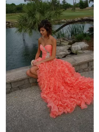 Artistic Orange Hoco Dress Organza Brush Train Sleeveless Ruffles