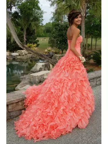 Artistic Orange Hoco Dress Organza Brush Train Sleeveless Ruffles