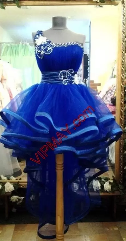 beautiful royal blue prom dress,royal blue prom dress for sale,short one shoulder prom dress,plus size one shoulder formal dress,sexy one shoulder prom dress,beautiful high low prom dress,high low hemline prom dress,high low prom dress juniors,prom dress with ruffles at the bottom,