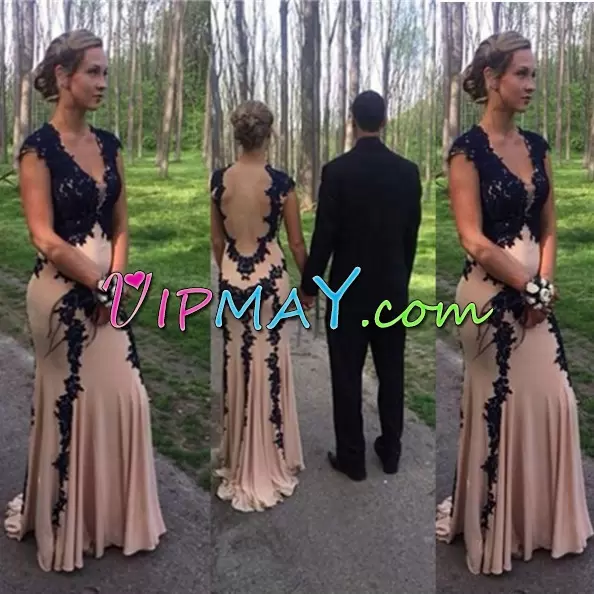 Flirting Champagne Side Zipper Prom Party Dress Appliques Sleeveless Floor Length