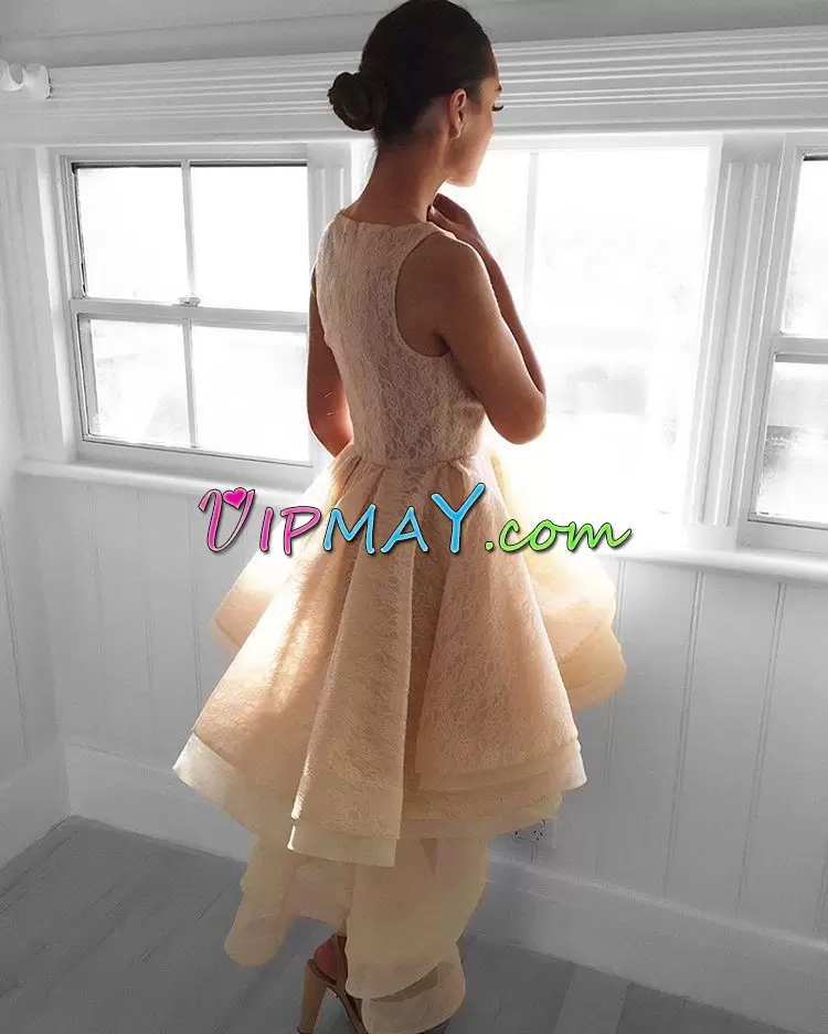 Champagne Zipper Scoop Ruching Homecoming Dress Sleeveless