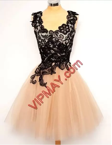 Sleeveless Tulle Mini Length Lace Up Evening Dress in Pink with Appliques