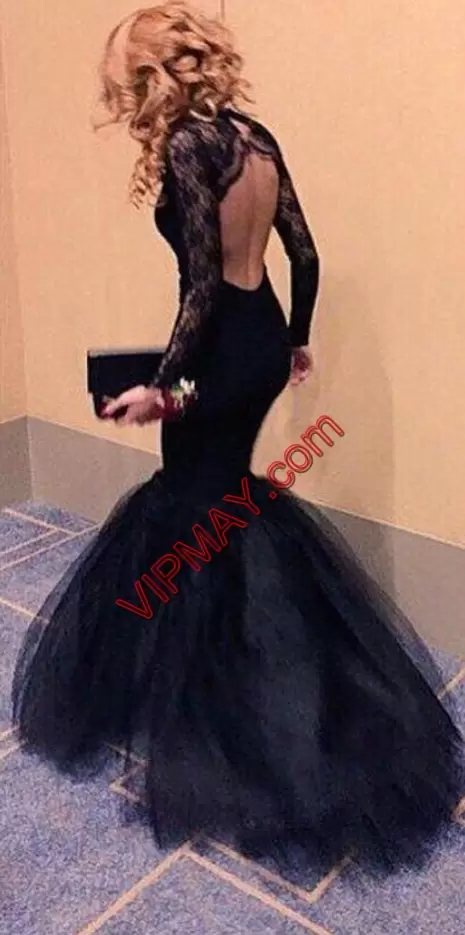 Long Sleeves Scoop Sweep Train Lace Backless Evening Dress