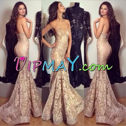 Champagne Strapless Backless Lace Evening Dress Sleeveless