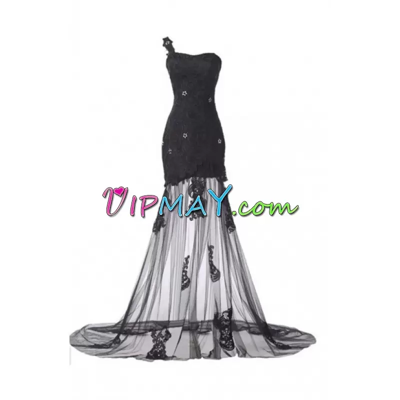 Tulle Sleeveless Homecoming Gowns Sweep Train and Lace and Appliques