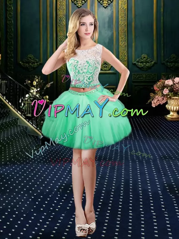 Scoop Sleeveless Tulle Quinceanera Gowns Lace and Pick Ups Zipper