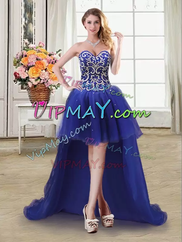 Shining Floor Length Ball Gowns Sleeveless Royal Blue 15 Quinceanera Dress Lace Up