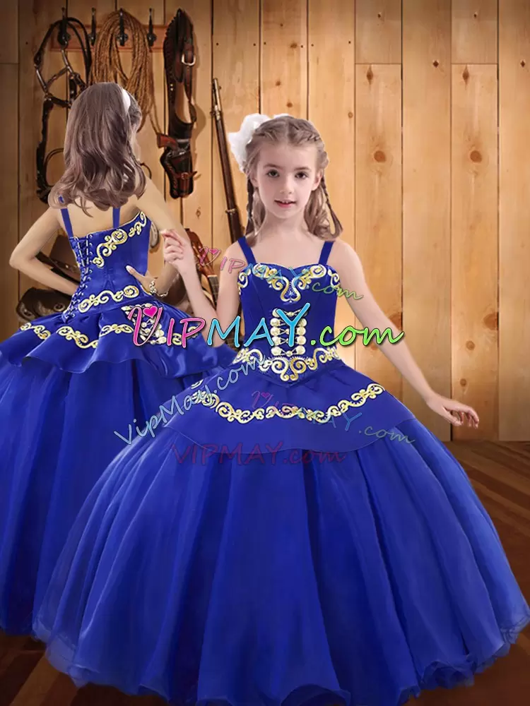 Floor Length Blue 15 Quinceanera Dress Tulle Sleeveless Embroidery