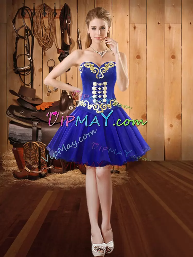 Customized Sleeveless Floor Length Embroidery Lace Up Vestidos de Quinceanera with Blue