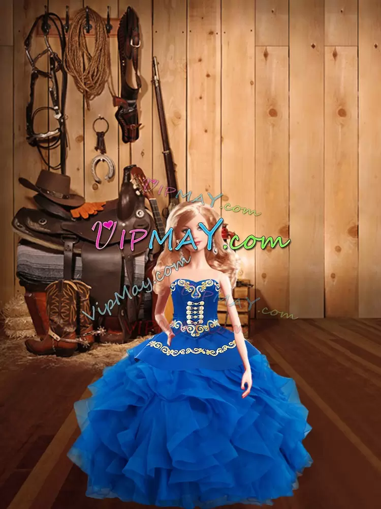 Blue Ball Gowns Embroidery Vestidos de Quinceanera Lace Up Tulle Sleeveless Floor Length