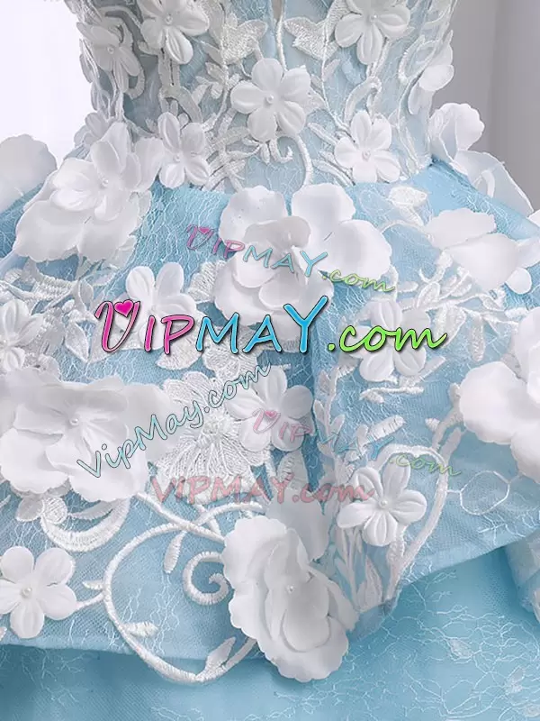 Vintage Organza Scoop Sleeveless Court Train Lace Up Appliques 15 Quinceanera Dress in Light Blue