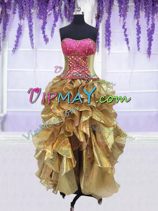 Organza and Taffeta Sleeveless With Train Sweet 16 Dress Brush Train and Beading and Lace and Ruffles